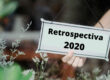 Retrospectiva 2020 – Uma Abordagem Numerológica